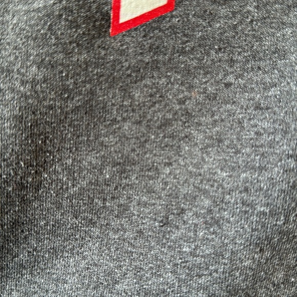 Champion Rutgers Hoodie Pullover Small Eco Fleece Cotton/Poly Gray & Scarlet Red - Picture 7 of 9